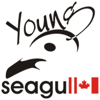 Young Seagull